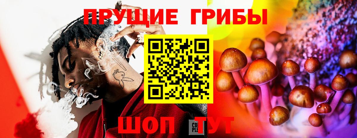 Галлюциногенные грибы Psilocybe Людиново