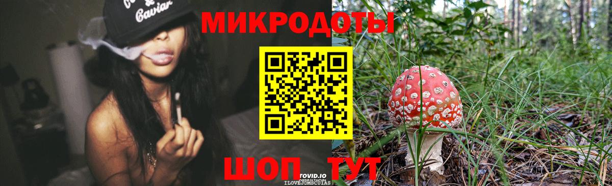 Псилоцибиновые грибы мицелий  Вход с VPN  Людиново 